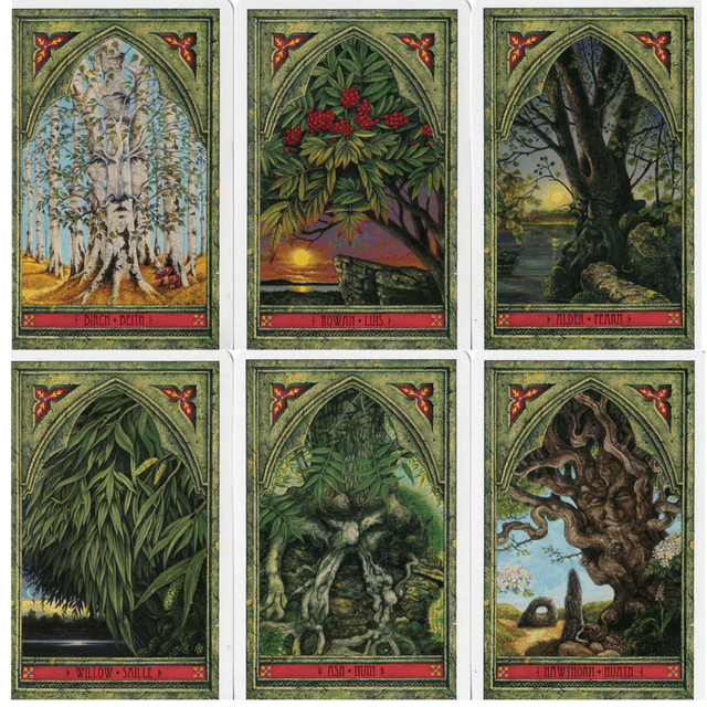 Tarot & Oracle Cards