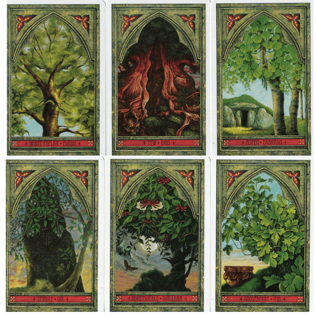 Tarot & Oracle Cards
