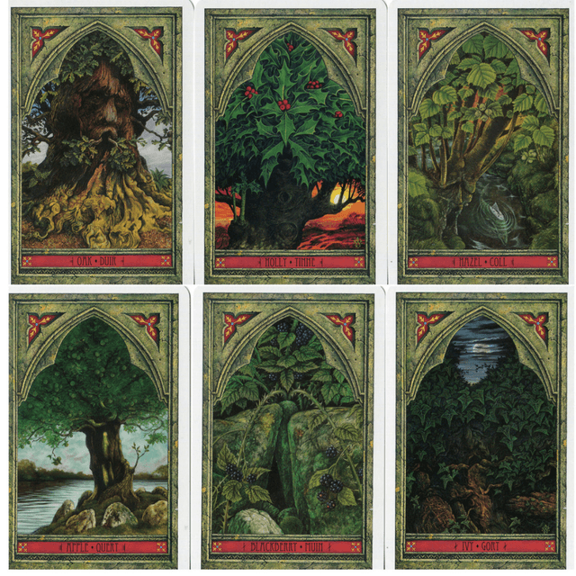 Tarot & Oracle Cards