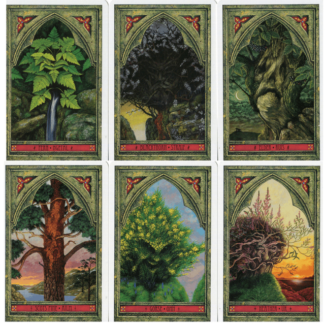 Tarot & Oracle Cards